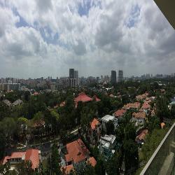 Parkview Eclat (D10), Condominium #40547502